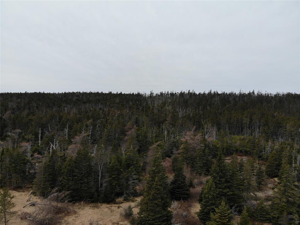76-84 CONCEPTION BAY HIGHWAY, HOLYROOD, Newfoundland, Canada A0A 2R0, ,Residential,For Sale,CONCEPTION BAY HIGHWAY,5797