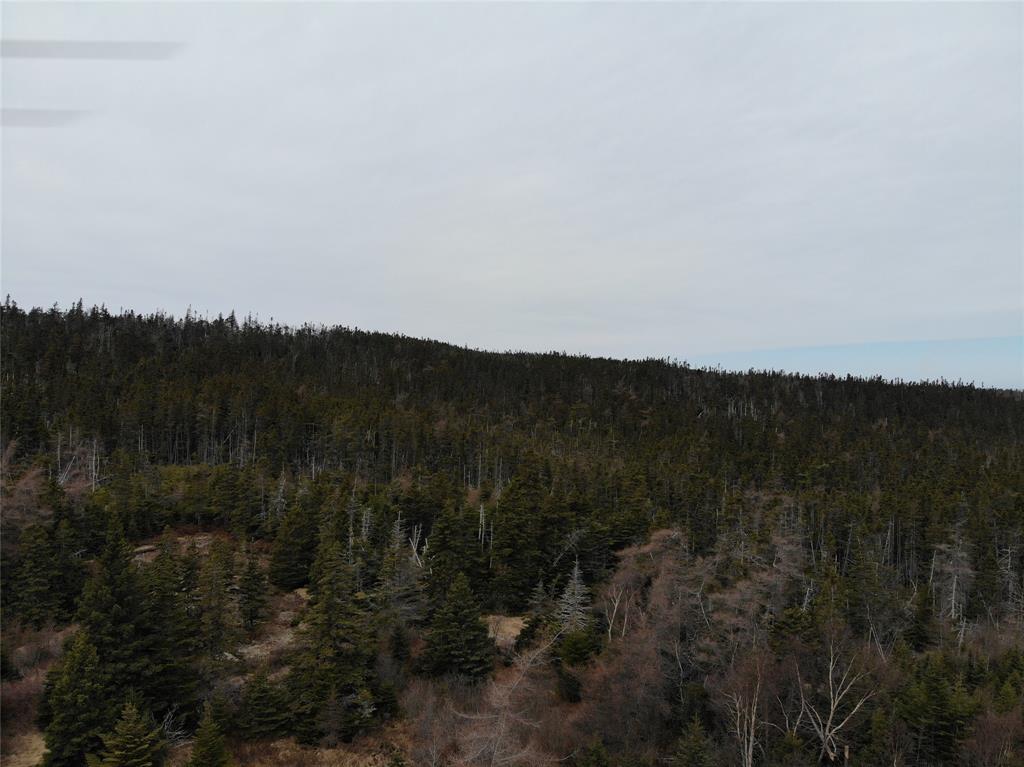 76-84 CONCEPTION BAY HIGHWAY, HOLYROOD, Newfoundland, Canada A0A 2R0, ,Residential,For Sale,CONCEPTION BAY HIGHWAY,5797