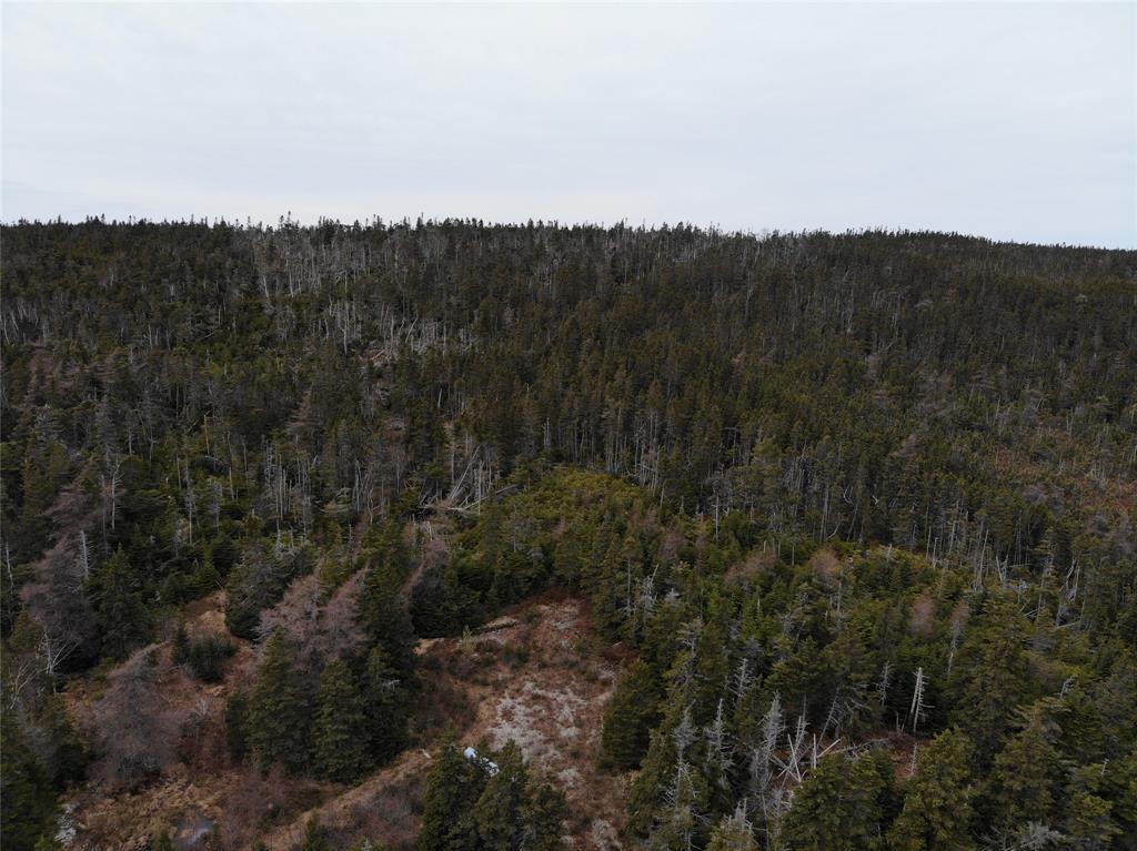 76-84 CONCEPTION BAY HIGHWAY, HOLYROOD, Newfoundland, Canada A0A 2R0, ,Residential,For Sale,CONCEPTION BAY HIGHWAY,5797