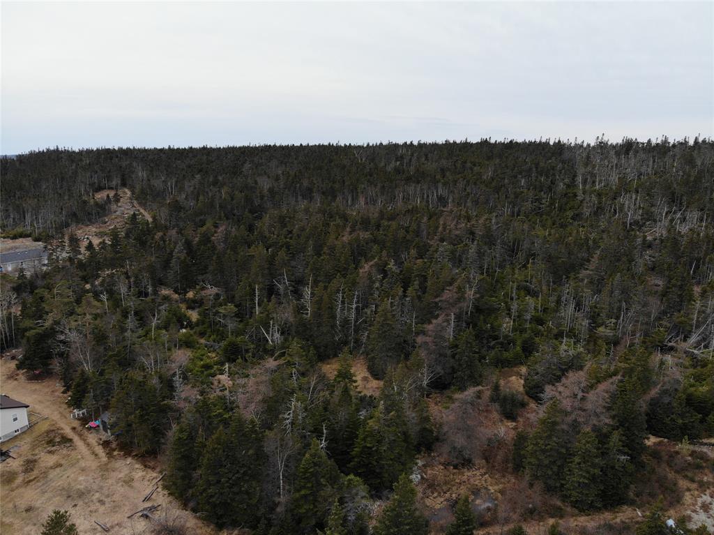 76-84 CONCEPTION BAY HIGHWAY, HOLYROOD, Newfoundland, Canada A0A 2R0, ,Residential,For Sale,CONCEPTION BAY HIGHWAY,5797