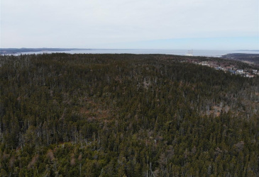 76-84 CONCEPTION BAY HIGHWAY, HOLYROOD, Newfoundland, Canada A0A 2R0, ,Residential,For Sale,CONCEPTION BAY HIGHWAY,5797