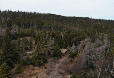 76-84 CONCEPTION BAY HIGHWAY, HOLYROOD, Newfoundland, Canada A0A 2R0, ,Residential,For Sale,CONCEPTION BAY HIGHWAY,5797
