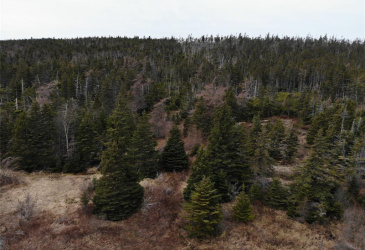 76-84 CONCEPTION BAY HIGHWAY, HOLYROOD, Newfoundland, Canada A0A 2R0, ,Residential,For Sale,CONCEPTION BAY HIGHWAY,5797
