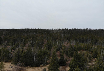 76-84 CONCEPTION BAY HIGHWAY, HOLYROOD, Newfoundland, Canada A0A 2R0, ,Residential,For Sale,CONCEPTION BAY HIGHWAY,5797