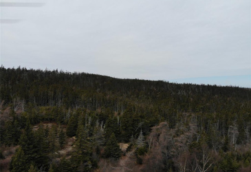 76-84 CONCEPTION BAY HIGHWAY, HOLYROOD, Newfoundland, Canada A0A 2R0, ,Residential,For Sale,CONCEPTION BAY HIGHWAY,5797