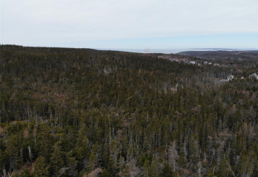 76-84 CONCEPTION BAY HIGHWAY, HOLYROOD, Newfoundland, Canada A0A 2R0, ,Residential,For Sale,CONCEPTION BAY HIGHWAY,5797