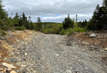 LOT 22 SECOND POND, SHEARSTOWN, Newfoundland, Canada A0A 3V0, ,Residential,For Sale,SECOND POND,5798