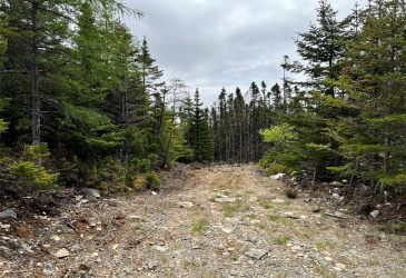LOT 22 SECOND POND, SHEARSTOWN, Newfoundland, Canada A0A 3V0, ,Residential,For Sale,SECOND POND,5798