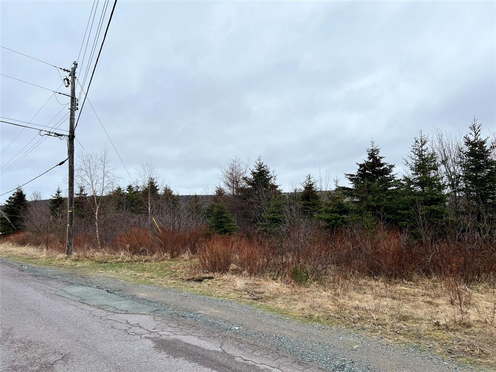 70-76 FIRST COLONY DRIVE, CUPIDS, Newfoundland, Canada A0A 2B0, ,Residential,Sale Pending,FIRST COLONY DRIVE,5801