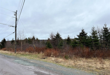 70-76 FIRST COLONY DRIVE, CUPIDS, Newfoundland, Canada A0A 2B0, ,Residential,For Sale,FIRST COLONY DRIVE,5801