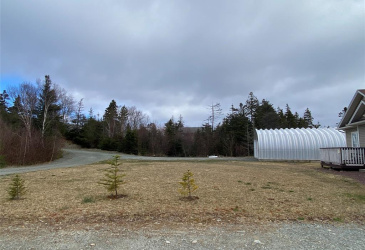 189 NORTH RIVER ROAD, NORTH RIVER, Newfoundland, Canada A0A 3C0, ,2 BathroomsBathrooms,Residential,Sale Pending,NORTH RIVER ROAD,5807