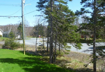 19 FOREST ROAD, CARBONEAR, Newfoundland, Canada A1Y 1A6, ,2 BathroomsBathrooms,Residential,Sale Pending,FOREST ROAD,5816