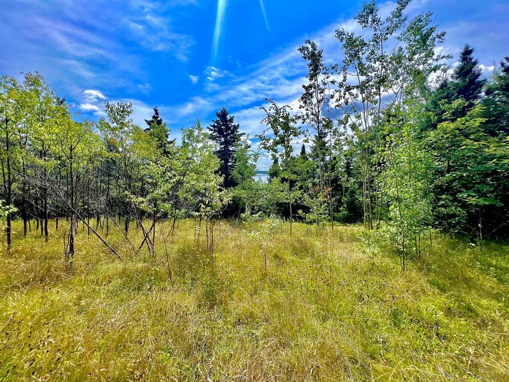0 GOOSE BAY DRIVE, MUSGRAVETOWN, Newfoundland, Canada A0C 1Z0, ,Residential,Sale Pending,GOOSE BAY DRIVE,5836