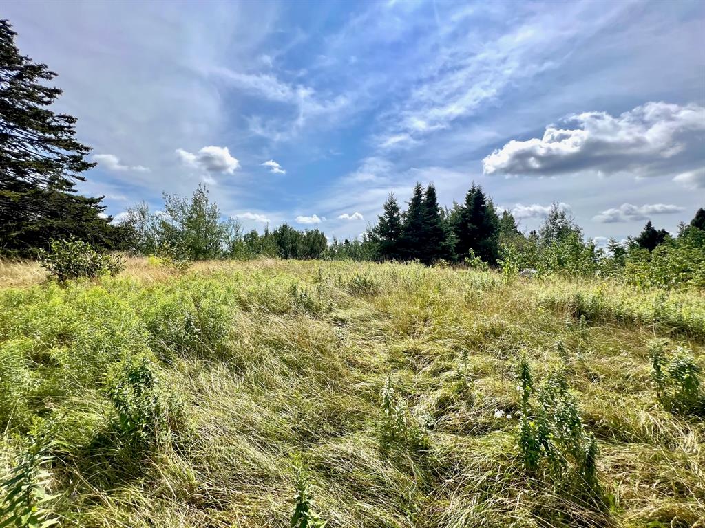 0 GOOSE BAY DRIVE, MUSGRAVETOWN, Newfoundland, Canada A0C 1Z0, ,Residential,Sale Pending,GOOSE BAY DRIVE,5836