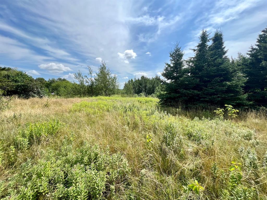 0 GOOSE BAY DRIVE, MUSGRAVETOWN, Newfoundland, Canada A0C 1Z0, ,Residential,Sale Pending,GOOSE BAY DRIVE,5836