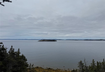 0 CENTENNIAL HILL, SOUTHERN HARBOUR, Newfoundland, Canada A0B 3H0, ,Residential,Reduced,CENTENNIAL HILL,5843
