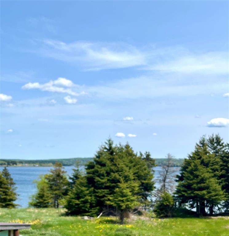 4 COLES LANE, BLOOMFIELD, Newfoundland, Canada A0C 1A0, ,2 BathroomsBathrooms,Residential,Reduced,COLES LANE,5857
