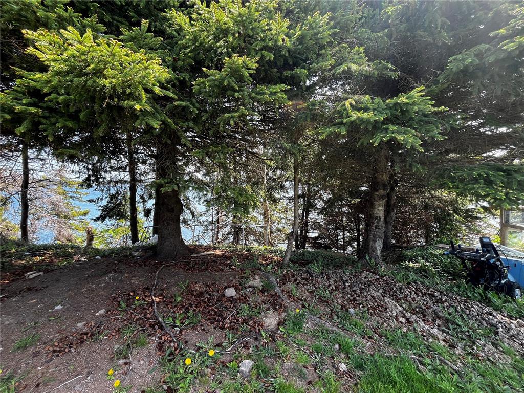 4 COLES LANE, BLOOMFIELD, Newfoundland, Canada A0C 1A0, ,2 BathroomsBathrooms,Residential,Reduced,COLES LANE,5857