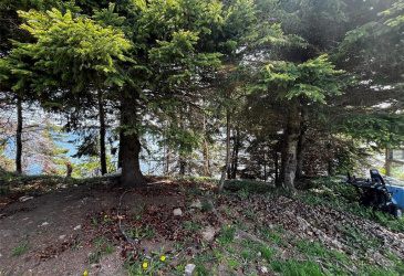 4 COLES LANE, BLOOMFIELD, Newfoundland, Canada A0C 1A0, ,2 BathroomsBathrooms,Residential,Reduced,COLES LANE,5857 4 COLES LANE, BLOOMFIELD, Newfoundland, Canada A0C 1A0, ,2 BathroomsBathrooms,Residential,Reduced,COLES LANE,5857