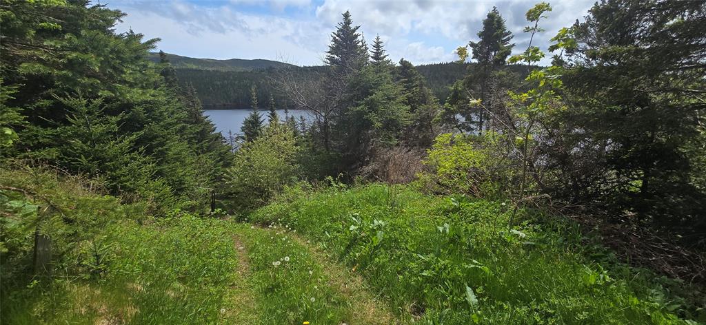 61 CRESTON BOULEVARD, MARYSTOWN, Newfoundland, Canada A0E 2M0, ,2 BathroomsBathrooms,Residential,For Sale,CRESTON BOULEVARD,5862