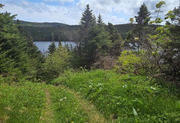 61 CRESTON BOULEVARD, MARYSTOWN, Newfoundland, Canada A0E 2M0, ,2 BathroomsBathrooms,Residential,For Sale,CRESTON BOULEVARD,5862