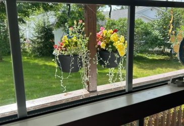 5-7 MAGISTRATES HILL, BRIGUS, Newfoundland, Canada A0A 1K0, ,2 BathroomsBathrooms,Residential,For Sale,MAGISTRATES HILL,5863