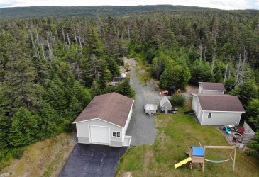 355 ROACHES LINE, ROACHES LINE, Newfoundland, Canada A0A 1W0, ,1 BathroomBathrooms,Residential,For Sale,ROACHES LINE,5865