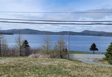 425-431 MAIN STREET, BURIN, Newfoundland, Canada A0E 1G0, ,3 BathroomsBathrooms,Residential,Sold,MAIN STREET,5868