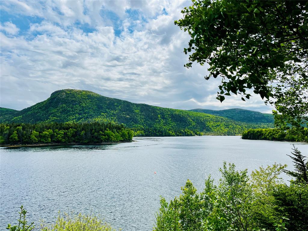 141 SEAVIEW DRIVE, SWIFT CURRENT, Newfoundland, Canada A0E 2W0, ,2 BathroomsBathrooms,Residential,Reduced,SEAVIEW DRIVE,5871