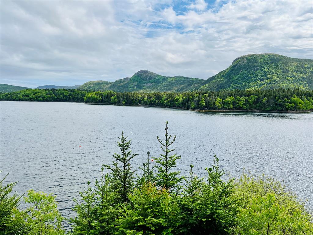 141 SEAVIEW DRIVE, SWIFT CURRENT, Newfoundland, Canada A0E 2W0, ,2 BathroomsBathrooms,Residential,Reduced,SEAVIEW DRIVE,5871