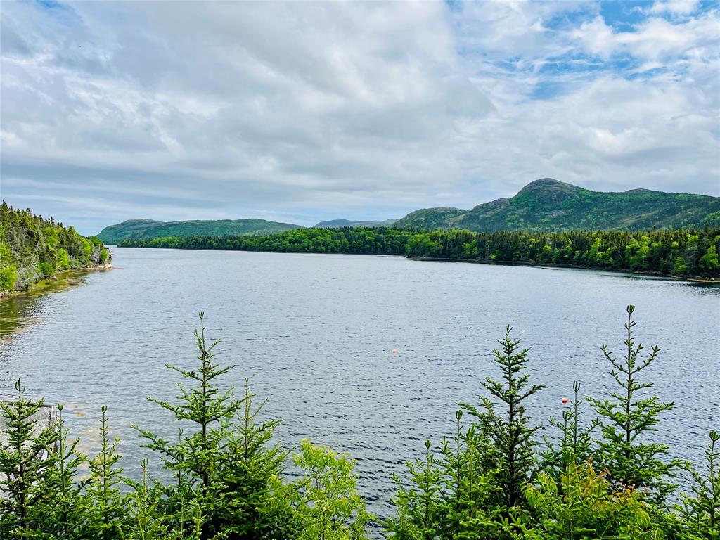 141 SEAVIEW DRIVE, SWIFT CURRENT, Newfoundland, Canada A0E 2W0, ,2 BathroomsBathrooms,Residential,Reduced,SEAVIEW DRIVE,5871