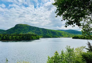 141 SEAVIEW DRIVE, SWIFT CURRENT, Newfoundland, Canada A0E 2W0, ,2 BathroomsBathrooms,Residential,Reduced,SEAVIEW DRIVE,5871