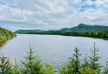 141 SEAVIEW DRIVE, SWIFT CURRENT, Newfoundland, Canada A0E 2W0, ,2 BathroomsBathrooms,Residential,Reduced,SEAVIEW DRIVE,5871