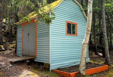 12 THISTLE PLACE, CLARENVILLE, Newfoundland, Canada A5A 4P2, ,3 BathroomsBathrooms,Residential,Sold,THISTLE PLACE,5876 12 THISTLE PLACE, CLARENVILLE, Newfoundland, Canada A5A 4P2, ,3 BathroomsBathrooms,Residential,Sold,THISTLE PLACE,5876