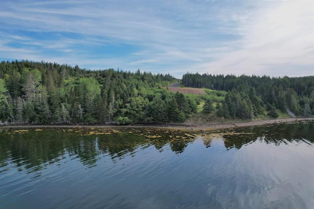 0 SMITH SOUND ROAD, HARCOURT, Newfoundland, Canada A0C 2M0, ,Land,For Sale,SMITH SOUND ROAD,5878