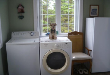 2 MAIN HIGHWAY, KINGSTON, Newfoundland, Canada A0A 3S0, ,2 BathroomsBathrooms,Residential,Reduced,MAIN HIGHWAY,5887