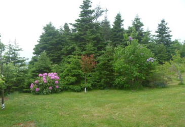 2 MAIN HIGHWAY, KINGSTON, Newfoundland, Canada A0A 3S0, ,2 BathroomsBathrooms,Residential,Reduced,MAIN HIGHWAY,5887