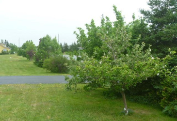 2 MAIN HIGHWAY, KINGSTON, Newfoundland, Canada A0A 3S0, ,2 BathroomsBathrooms,Residential,Reduced,MAIN HIGHWAY,5887