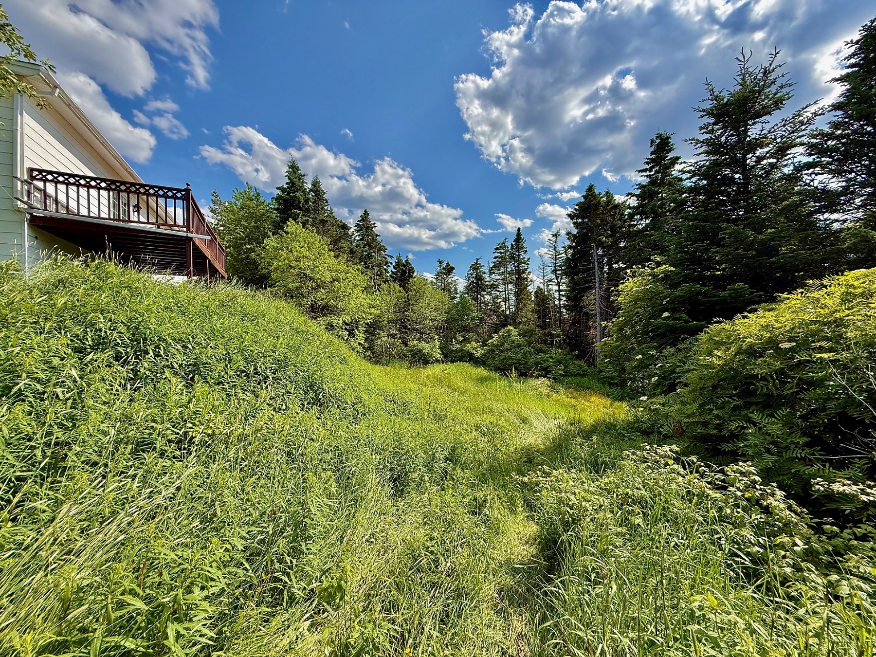 33 OCEANVIEW CRESCENT, BROOKLYN, Newfoundland, Canada A0C 1V0, ,1 BathroomBathrooms,Residential,Reduced,OCEANVIEW CRESCENT,5889