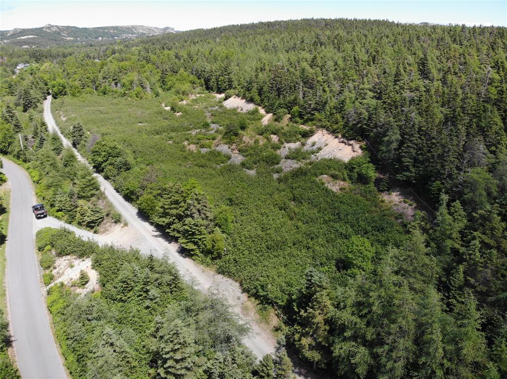 33-45 LONG POND ROAD, BRIGUS, Newfoundland, Canada A0A 1K0, ,Land,Reduced,LONG POND ROAD,5890
