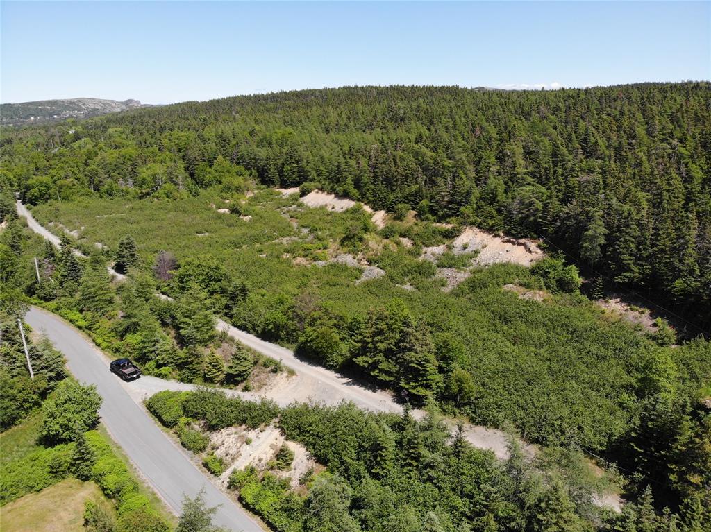 33-45 LONG POND ROAD, BRIGUS, Newfoundland, Canada A0A 1K0, ,Land,Reduced,LONG POND ROAD,5890