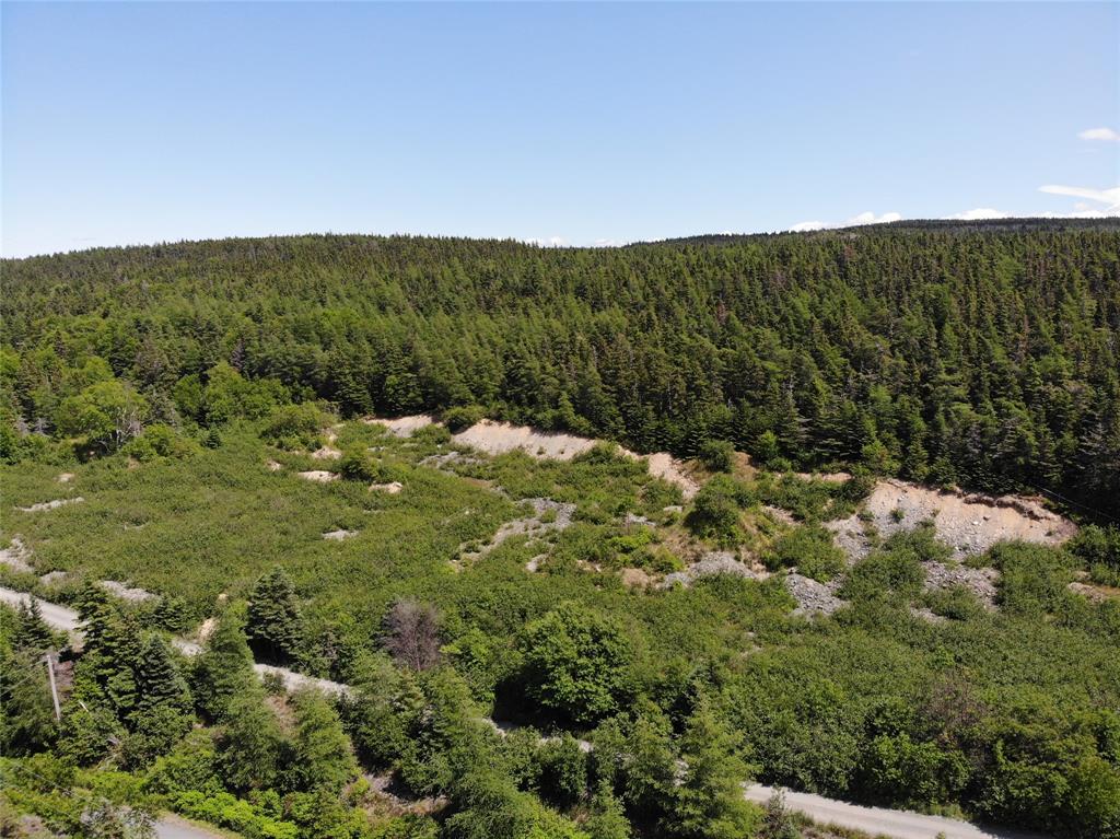 33-45 LONG POND ROAD, BRIGUS, Newfoundland, Canada A0A 1K0, ,Land,Reduced,LONG POND ROAD,5890