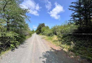 33-45 LONG POND ROAD, BRIGUS, Newfoundland, Canada A0A 1K0, ,Land,Reduced,LONG POND ROAD,5890