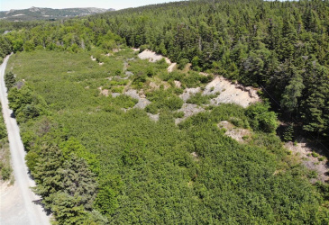 33-45 LONG POND ROAD, BRIGUS, Newfoundland, Canada A0A 1K0, ,Land,Reduced,LONG POND ROAD,5890