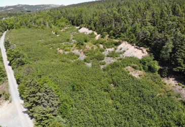 33-45 LONG POND ROAD, BRIGUS, Newfoundland, Canada A0A 1K0, ,Land,Reduced,LONG POND ROAD,5890