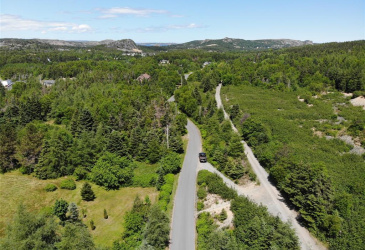 33-45 LONG POND ROAD, BRIGUS, Newfoundland, Canada A0A 1K0, ,Land,Reduced,LONG POND ROAD,5890