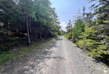 33-45 LONG POND ROAD, BRIGUS, Newfoundland, Canada A0A 1K0, ,Land,Reduced,LONG POND ROAD,5890