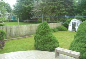 5 GOODISON STREET, CARBONEAR, Newfoundland, Canada A1Y1A9, ,1 BathroomBathrooms,Residential,Sold,GOODISON STREET,5895