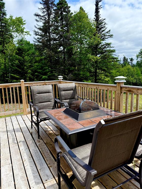 102 FOREST DRIVE, LETHBRIDGE, Newfoundland, Canada A0C 1B0, ,1 BathroomBathrooms,Residential,Reduced,FOREST DRIVE,5903