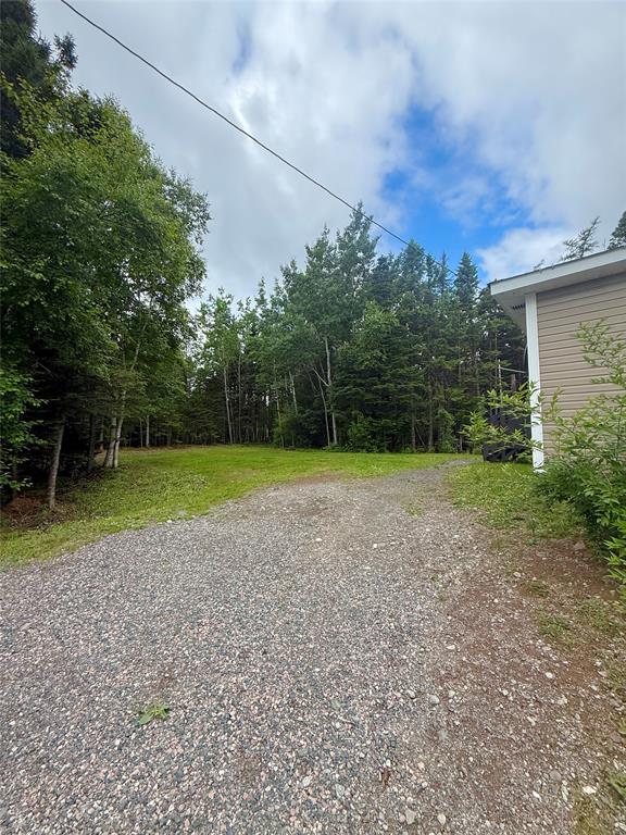 102 FOREST DRIVE, LETHBRIDGE, Newfoundland, Canada A0C 1B0, ,1 BathroomBathrooms,Residential,Reduced,FOREST DRIVE,5903